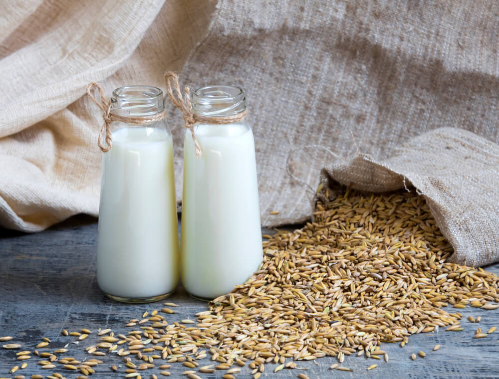 canary seed milk