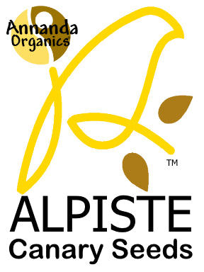 Alpiste Canary Seeds