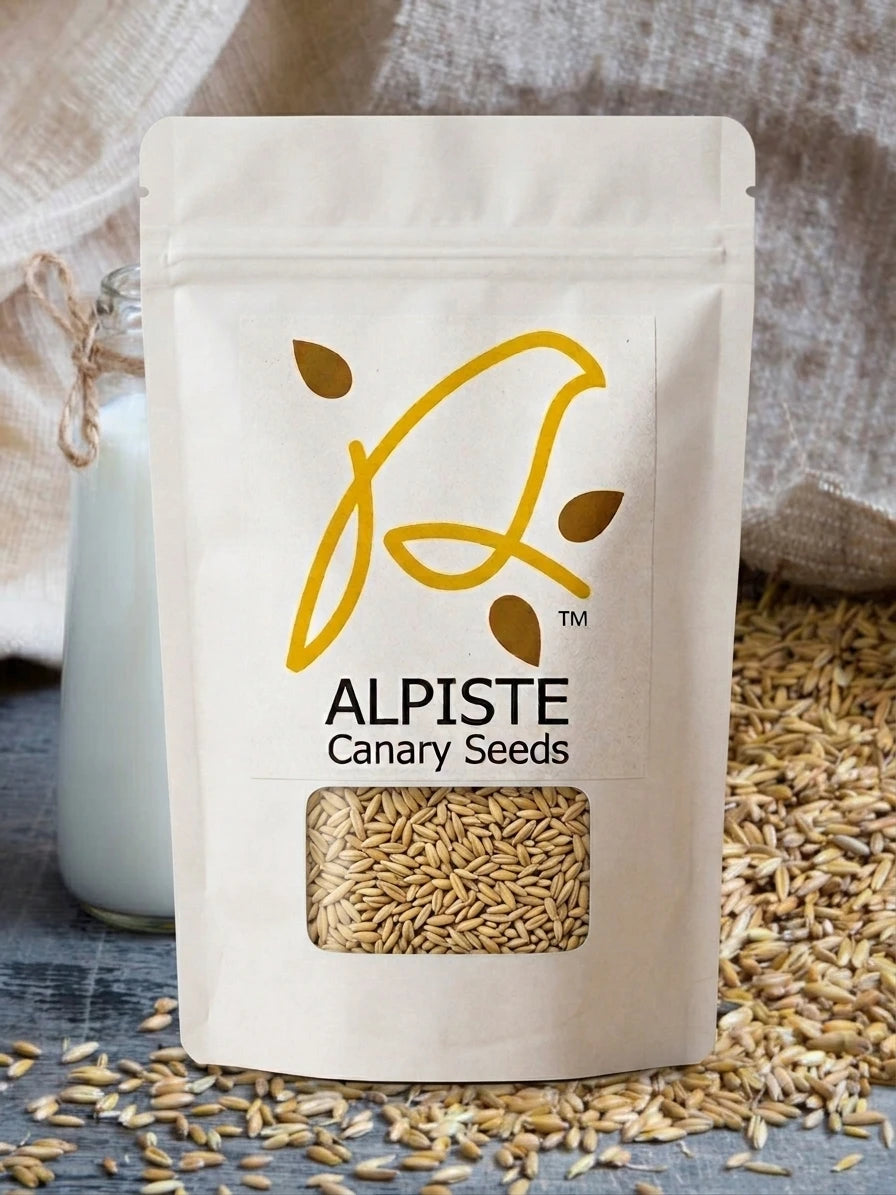 Alpiste Canary Seeds 240g food-grade canary seed for human consumption