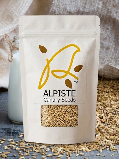Alpiste Canary Seeds 240g food-grade canary seed for human consumption
